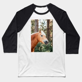 Haflinger mare in the forest Baseball T-Shirt